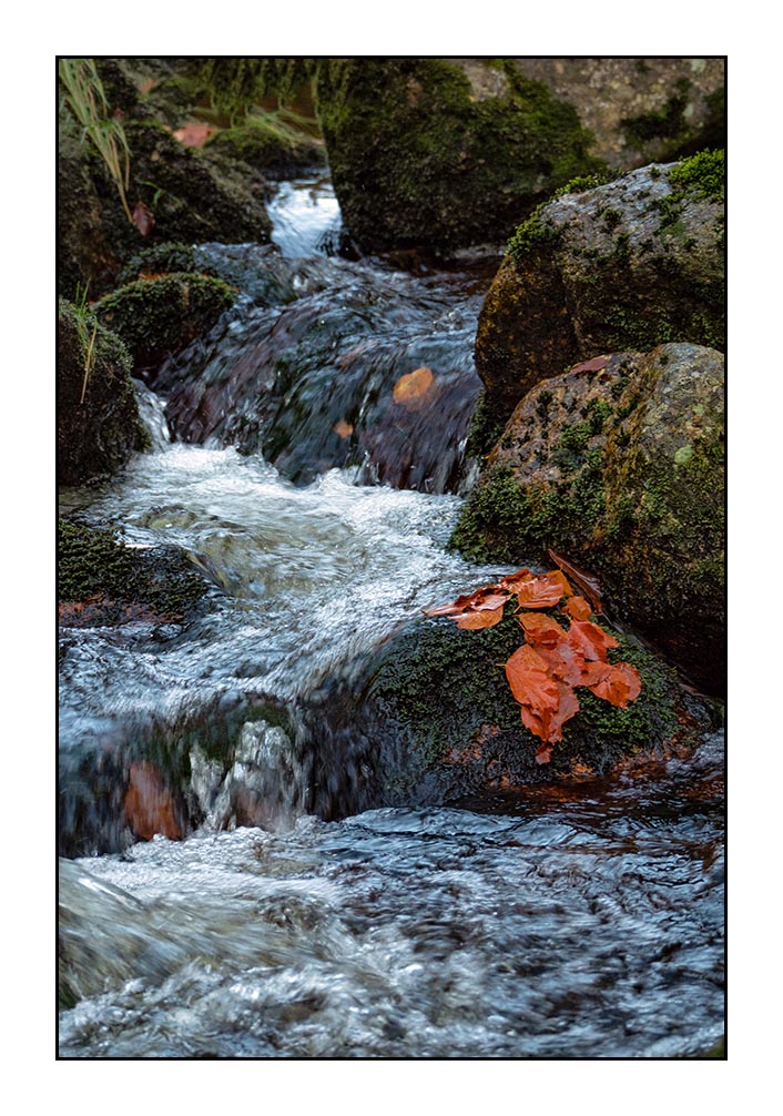 - 09 -