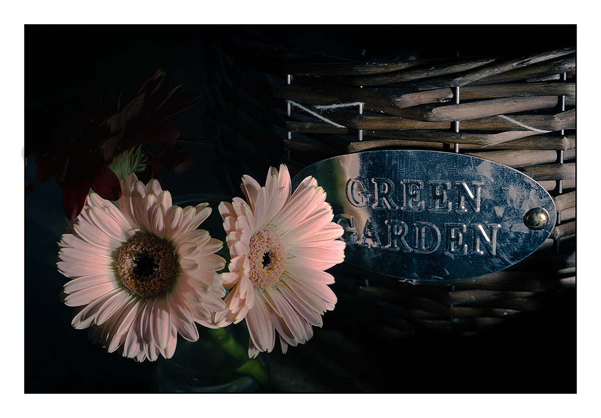 Green garden